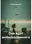 Владимир Владимиров - Она ждет мобилизованного