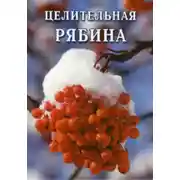 Постер книги Целительная рябина