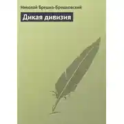 Постер книги Дикая дивизия