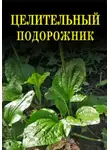 Иван Дубровин - Целительный подорожник