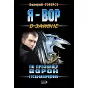 Постер книги Гроза авторитетов