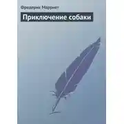 Постер книги Приключение собаки