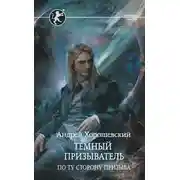 Постер книги Темный призыватель. По ту сторону призыва