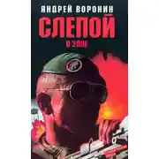 Постер книги Слепой в зоне