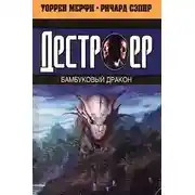 Постер книги Бамбуковый дракон