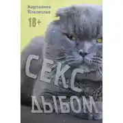 Постер книги Секс дыбом