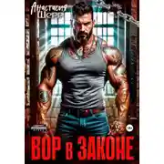 Постер книги Вор в законе