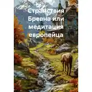 Постер книги Странствия Бревна или медитация европейца