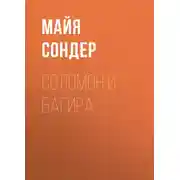 Постер книги Соломон и Багира