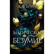 Постер книги Магическое безумие
