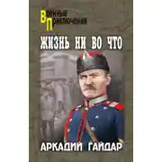 Постер книги Жизнь ни во что