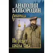 Постер книги Не родит сокола сова (сборник)