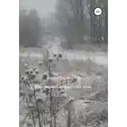 Постер книги Неспящие. Беспокойная зима