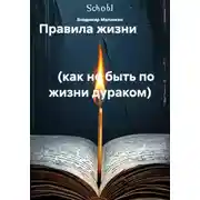 Постер книги Правила жизни                                                                                                 (как не быть по жизни дураком)
