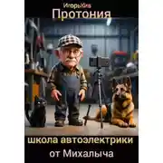 Постер книги Протония. Школа автоэлектрики от Михалыча