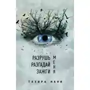 Постер книги Разрушь меня. Разгадай меня. Зажги меня