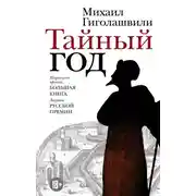 Постер книги Тайный год