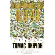 Постер книги Выкрикивается лот 49