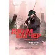 Постер книги Архивы Дрездена: История призрака. Холодные дни