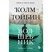 Постер книги Волшебник