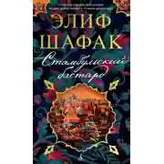 Постер книги Стамбульский бастард