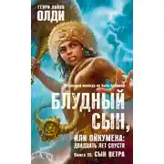 Постер книги Сын Ветра