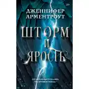 Постер книги Шторм и ярость