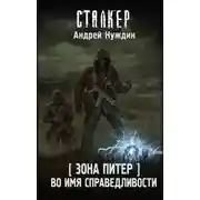 Постер книги Зона Питер. Во имя справедливости