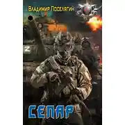 Постер книги Сепар