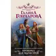 Постер книги Академия адептов, колдунов и магов. Проверка для магистров