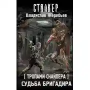 Постер книги Тропами Снайпера. Судьба Бригадира
