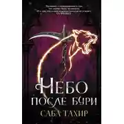 Постер книги Небо после бури