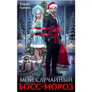 Постер книги Мой случайный Босс-Мороз