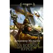 Постер книги Летчик. На боевом курсе!