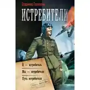 Постер книги Истребители: Я – истребитель. Мы – истребители. Путь истребителя