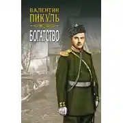 Постер книги Богатство
