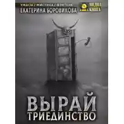 Постер книги Вырай. Триединство