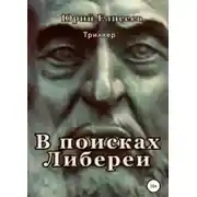 Постер книги Документ В поисках Либереи