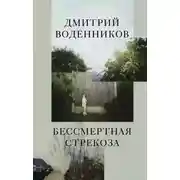 Постер книги Бессмертная стрекоза