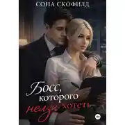 Постер книги Босс, которого нельзя хотеть