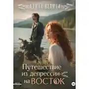 Постер книги Путешествие из депрессии на Восток