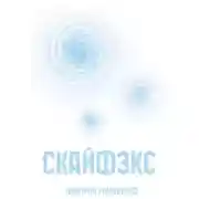 Постер книги Скайфэкс