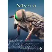 Постер книги Мухи
