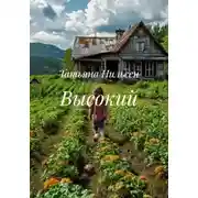 Постер книги Высокий