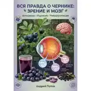 Постер книги Вся правда о чернике: зрение и мозг