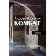 Постер книги Комбат. За свои слова ответишь