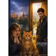 Постер книги Никорни