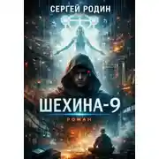 Постер книги Шехина-9