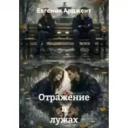 Постер книги Отражение в лужах
