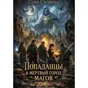 Постер книги Попаданцы в мертвый город магов